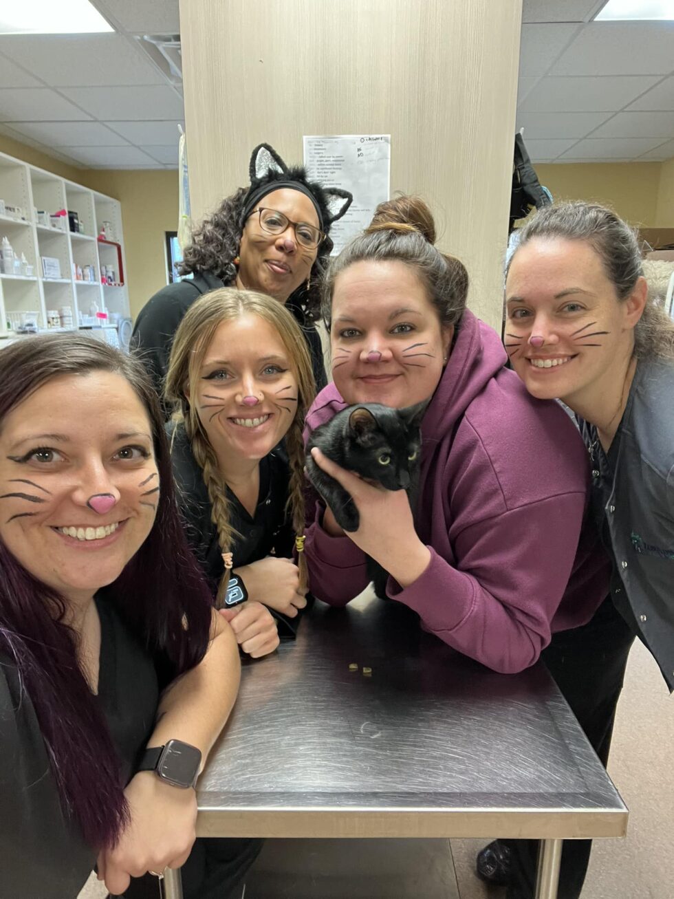 Careers Zebulon Animal Hospital