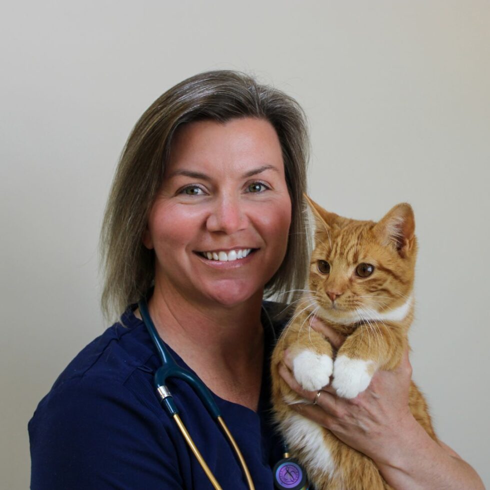 Zebulon, NC Veterinary Hospital Zebulon Animal Hospital