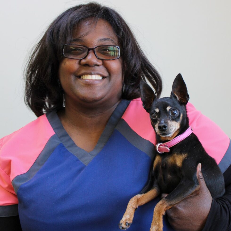Meet Our Staff Zebulon Animal Hospital