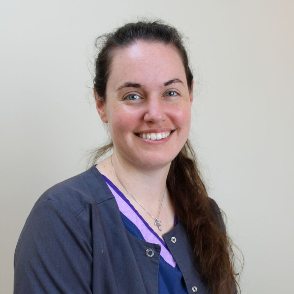 Zebulon, NC Veterinary Hospital Zebulon Animal Hospital