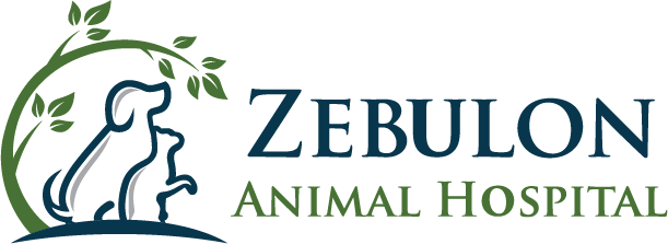 Zebulon Animal Hospital