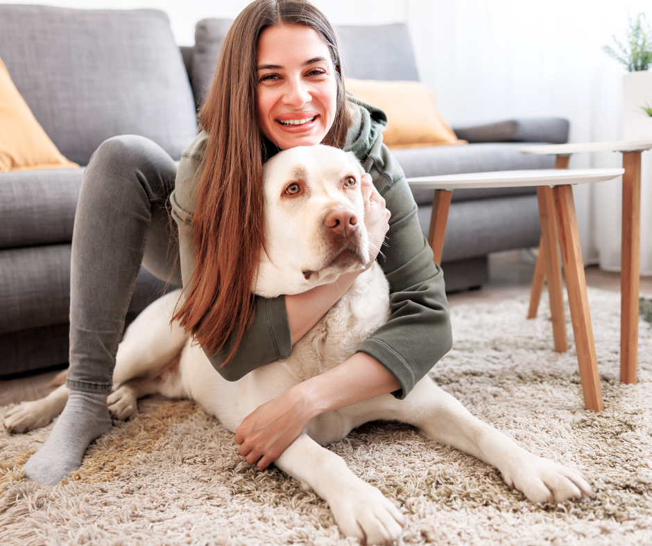 Affordable Veterinary Payment Options